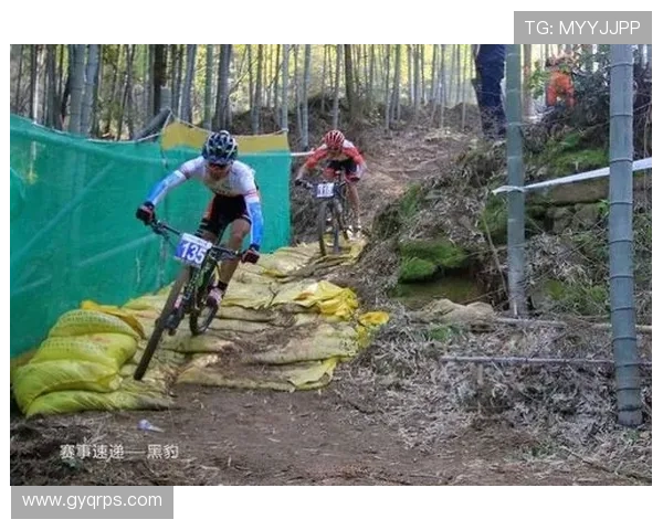 南京乒乓球队选拔赛背后的拼搏故事与奋斗历程全景回顾